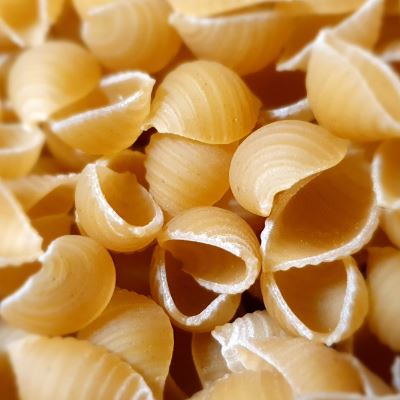 Conchiglie Image